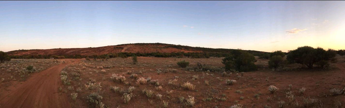 Yalgoo bush