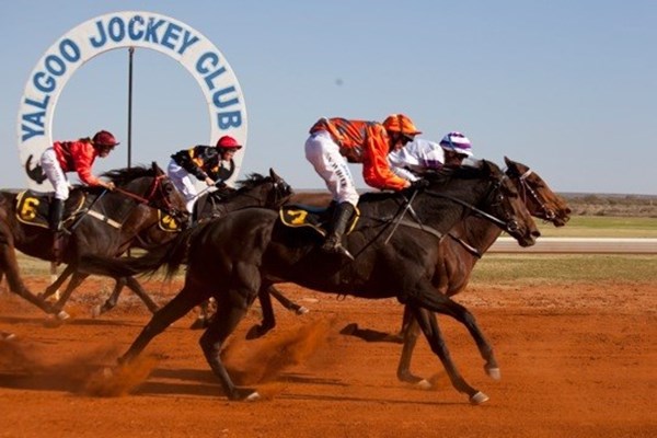 Yalgoo Races - horses