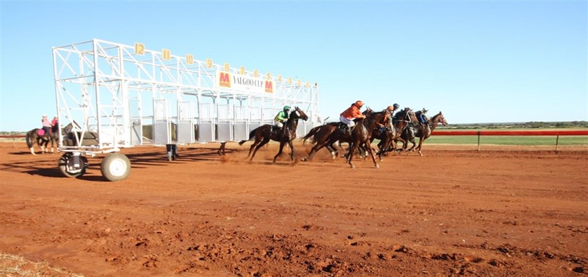 Yalgoo Races - starting gate