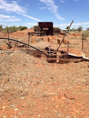 Paynes Find - Old mine shaft 1