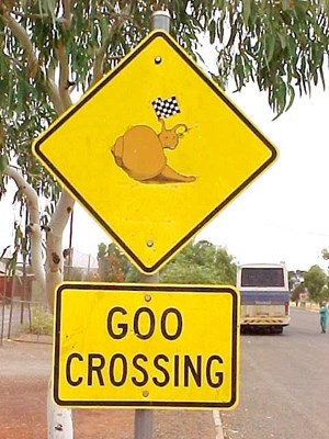 Signage - Goo Crossing